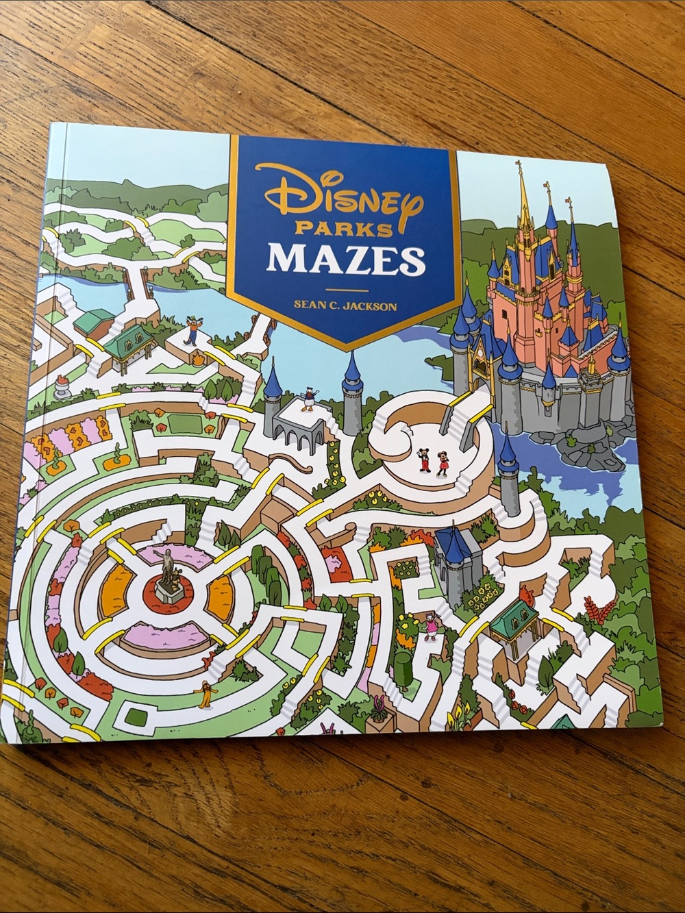 Disney Parks Mazes Activity Book - Blue, White, Green, Pink Cover